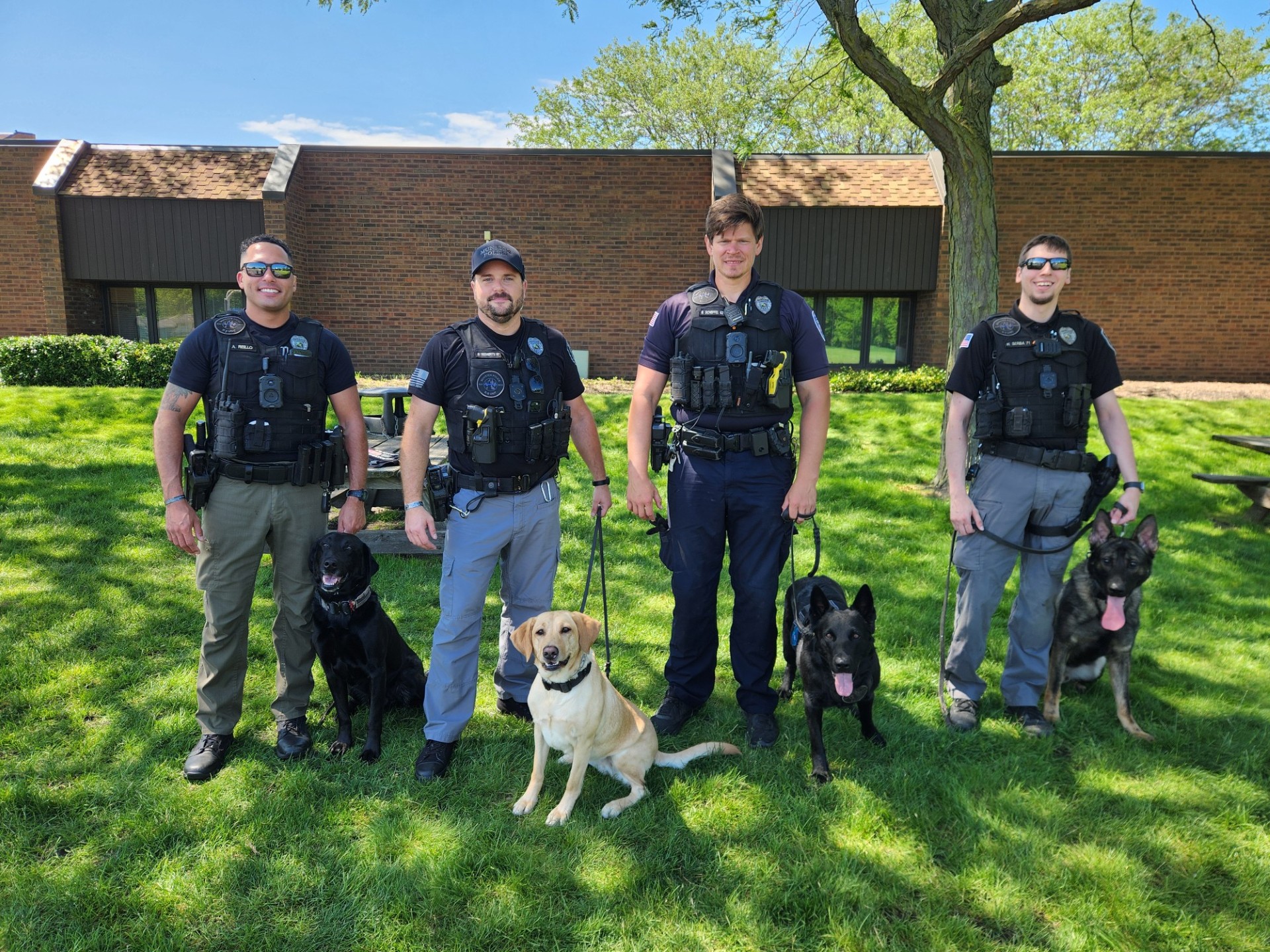 K9 Unit